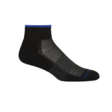 Icebreaker Multisport Lightweight Ankle Womens Socks