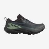 Salomon Genesis GTX Mens Shoes