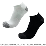 Sof Sole Bamboo Socks Freebie Pack of 2